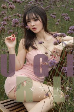 与君初相识电视剧全集资源